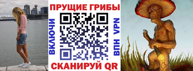 цена наркотик Облучье Псилоцибиновые грибы Psilocybine cubensis